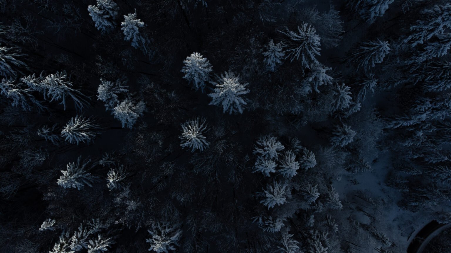 Luftbild Landschaft Wald in Winterthur